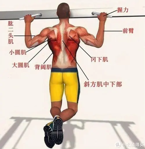 乒乓球台修建材料